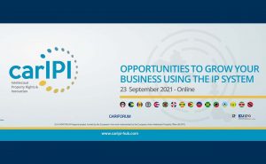 Opportunities to grow your business using the IP system @ ZOOM