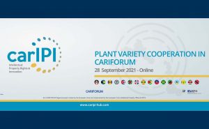 Regional Plant Variety System webinar @ ZOOM