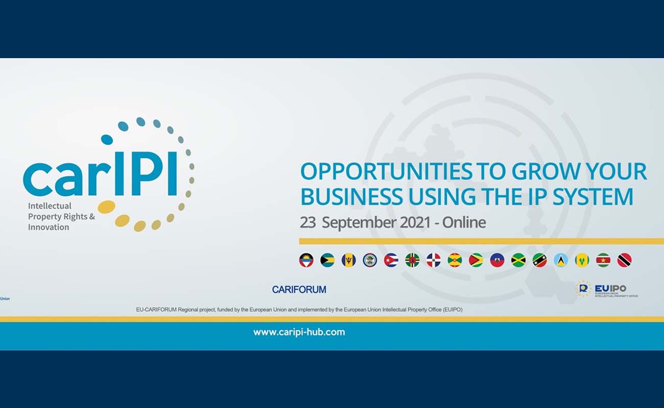 Opportunities to grow your business using the IP system