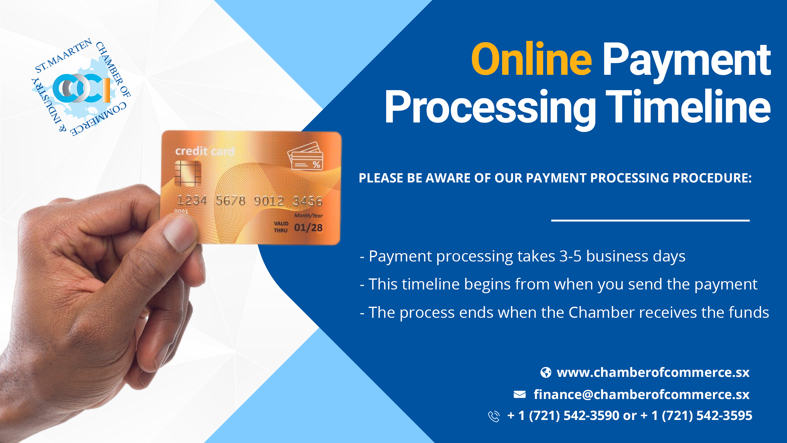 Online Payment Processing Timeline